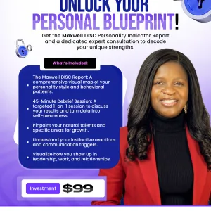 DISC Assessment & Debrief Package